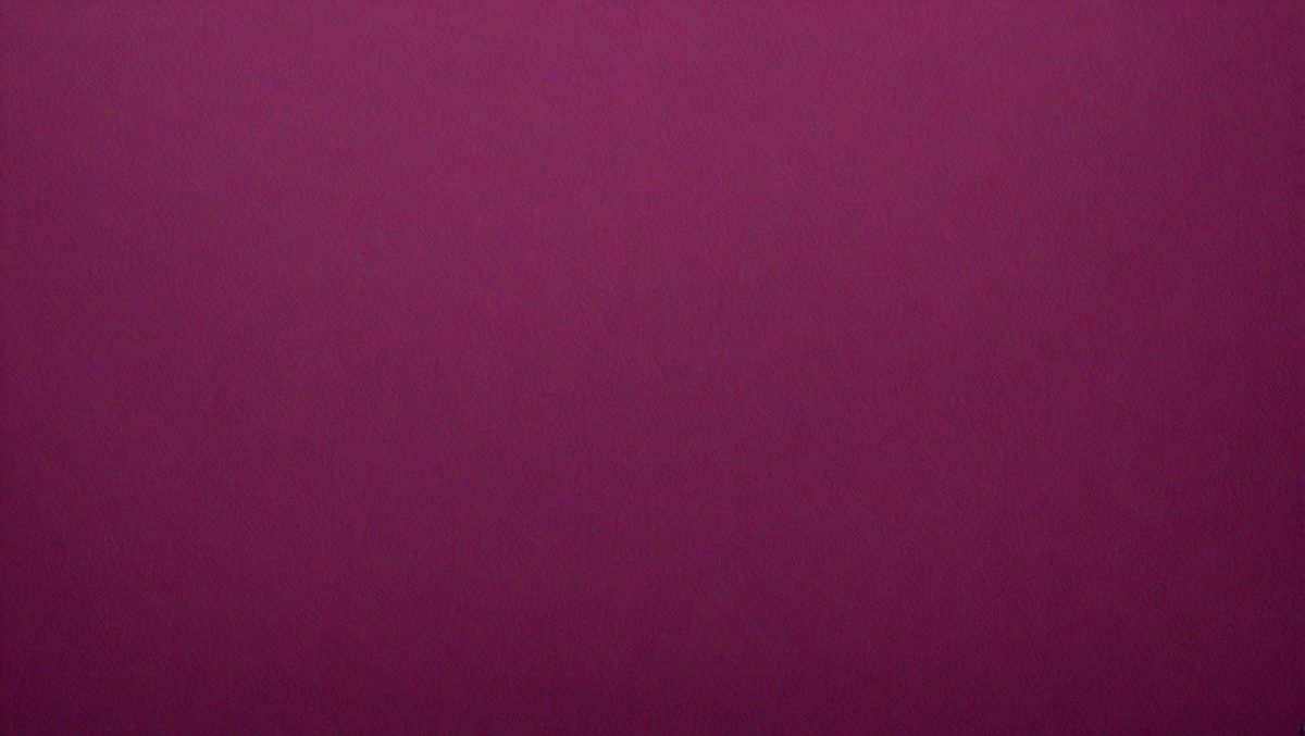 8be14747-cf02-4fae-b803-c14ade361815-freepik__background-from-dark-magenta-paper-texture-hi-res__5955_251007170915_00001.png