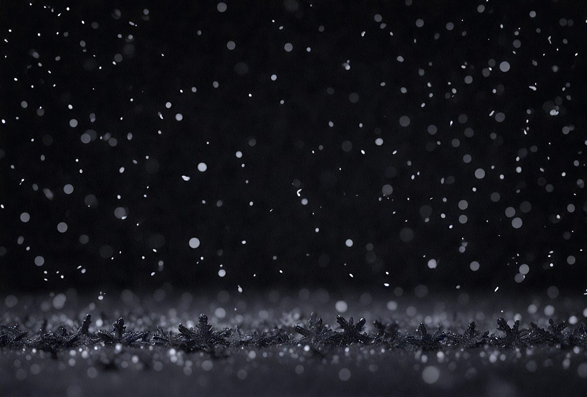 8eeaae51-7bbb-4a24-8c24-5ea74b9e426e-freepik__bokeh-of-black-snow-on-a-black-background-falling-__93413_250525032122_00001.png