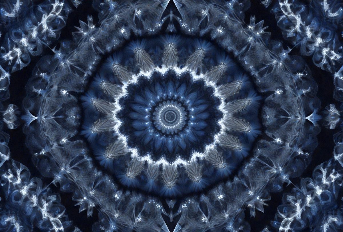 8fdf6e56-7096-4755-a80c-4ceb17d065c6-freepik__dark-blue-kaleidoscope-mandala-fractal__20281_251001045150_00001.png