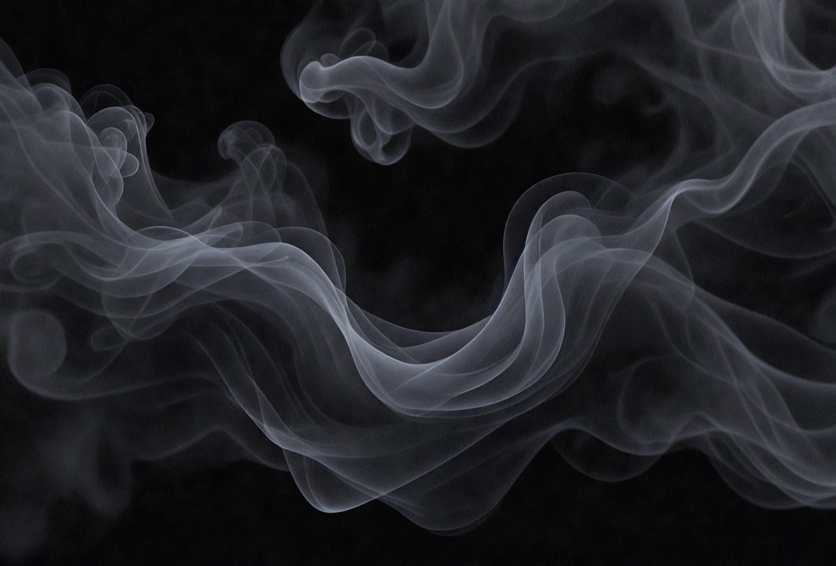 97a01ba8-9c85-4be2-88f2-384510cb9905-freepik__abstract-black-smokey-background-with-floating-par__74959_250524051308_00001.png