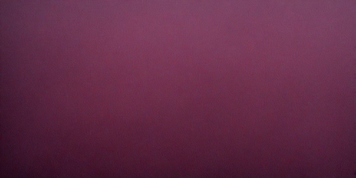 983b5d65-ac67-47fc-a456-39891e691bad-freepik__highlytextured-dark-magenta-watercolor-paper-paper__5740_251009135609_00001.png