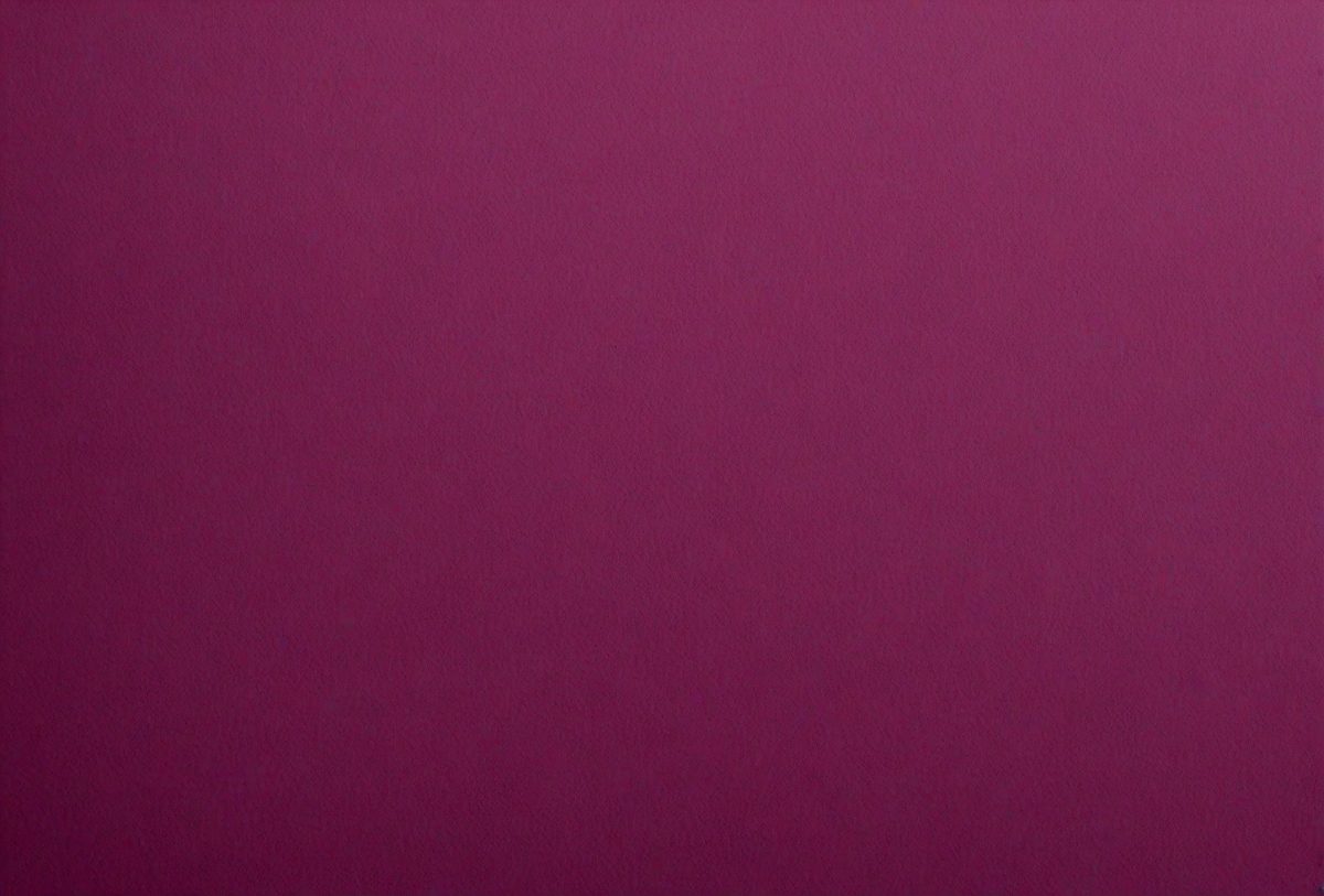 9a6b2870-7110-4a46-80f6-0f107e1c02f3-freepik__background-and-texture-of-dark-magenta-paper-patte__5427_251007170821_00001.png
