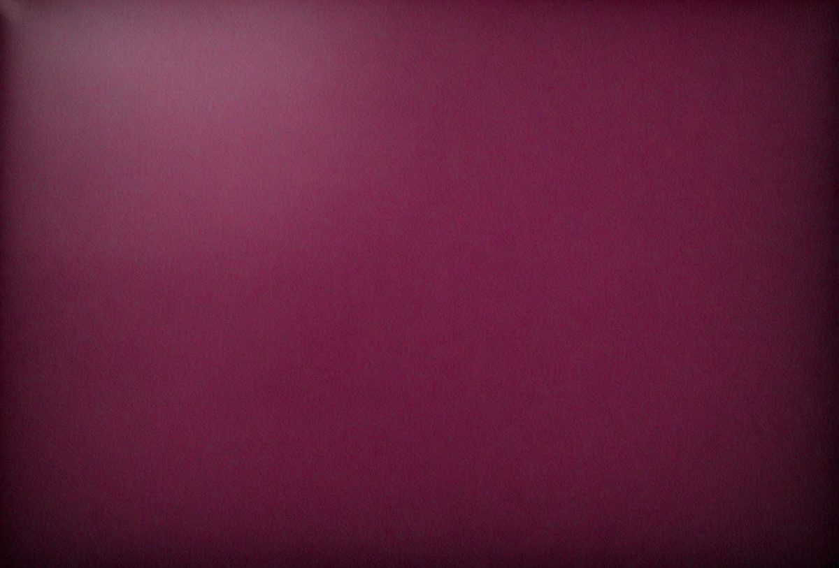 a1f82b79-dbfc-40a4-a4ab-7ec948e673a8-freepik__dark-magenta-leather-background__38896_251008015426_00001.png