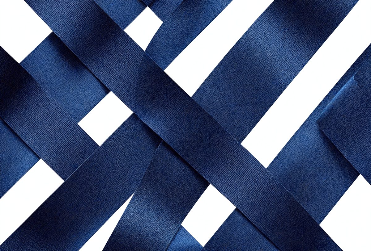 a48041f4-f231-45e2-8712-a30d8bd87e36-freepik__a-dark-blue-ribbons-isolated-on-a-white-background__41097_250929065745_00001.png
