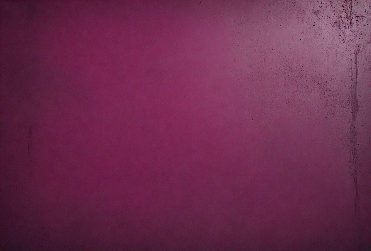 a4adcae8-f68c-43b6-85d1-de8caa2a89a1-freepik__new-dark-magenta-concrete-wall-texture-background-__6015_251009201253_00001.png