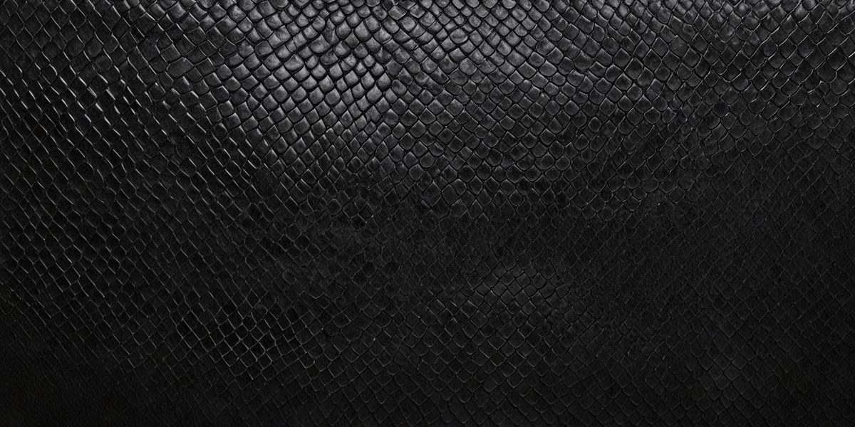 a827c920-77b9-40a6-9815-83e910622e38-freepik__black-snake-skin-background-panoramic-web-banner-w__98467_250525025619_00001.png