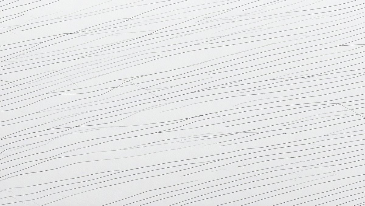 a9fd0727-487b-40be-affb-99710fef2313-freepik__sketch-lines-white-paper-texture-background-close-__84357_250520102915_white_00001.png