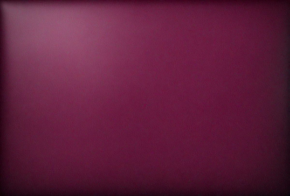b3cfd127-170e-448b-9e91-b9315a799f1d-freepik__dark-magenta-leather-background__38895_251008015419_00001.png