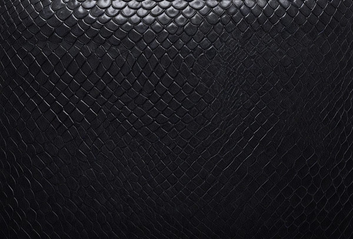 b4e1dc26-9e37-4282-9553-0481911f8a61-freepik__black-snake-skin-background-panoramic-web-banner-w__98135_250525025548_00001.png