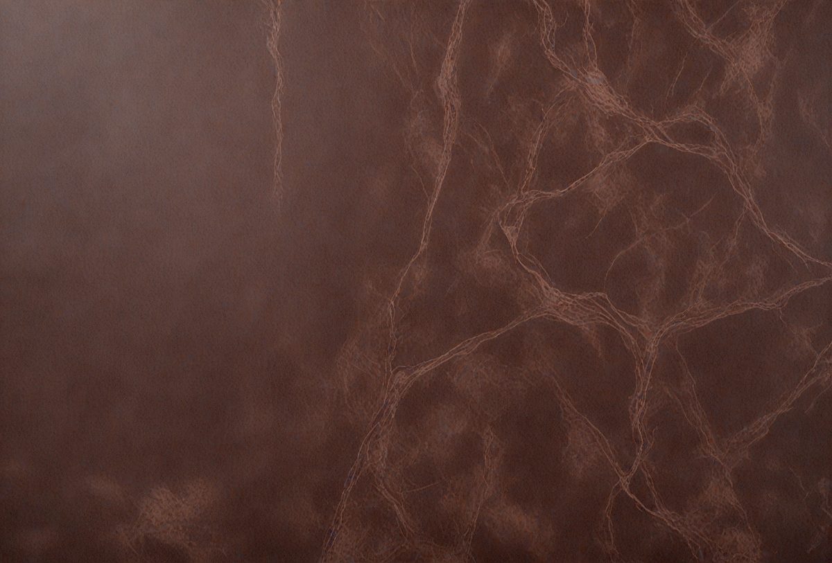 b730585e-a9d0-4a38-9893-c8c7005f9a51-freepik__chocolate-marble-color-color-matte-leather-upholst__26237_250926232616_00001.png