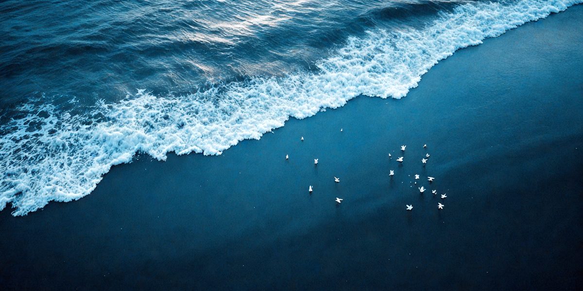 ba74afde-cef1-45e3-b02b-707d49594a68-freepik__seascape-with-seagulls-on-dark-blue-a-sandy-beach-__47700_251002095426_00001.png