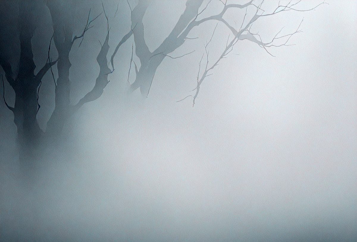 bc0ed7f4-2eff-4593-a98d-71978f48cbc0-freepik__dark-and-mysterious-abstract-white-background-dark__33430_250519092721_white_00001.png