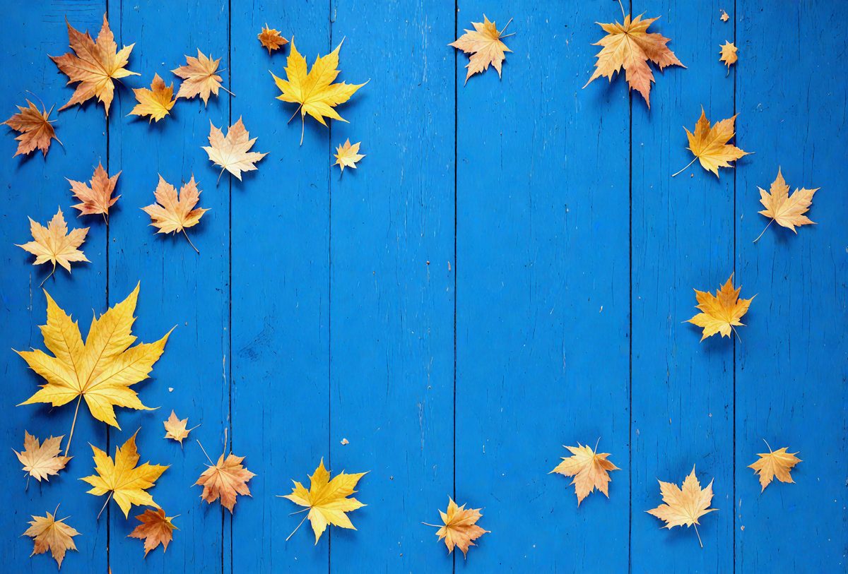 bc47acf0-5e62-470d-8a26-ff34d071796b-freepik__cornflower-blue-wood-texture-background-top-view-a__82675_250928023803_00001.png