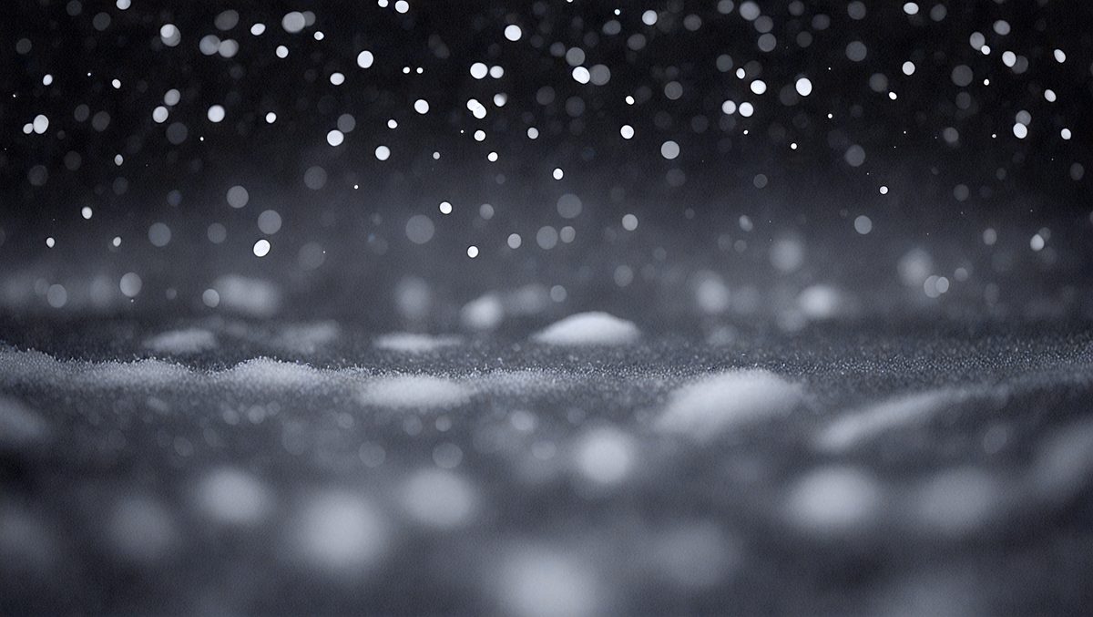 be1a11ce-10ae-4e09-9d41-0b7603ad6e17-freepik__bokeh-white-snow-on-a-black-night-background__36190_250525032158_00001.png
