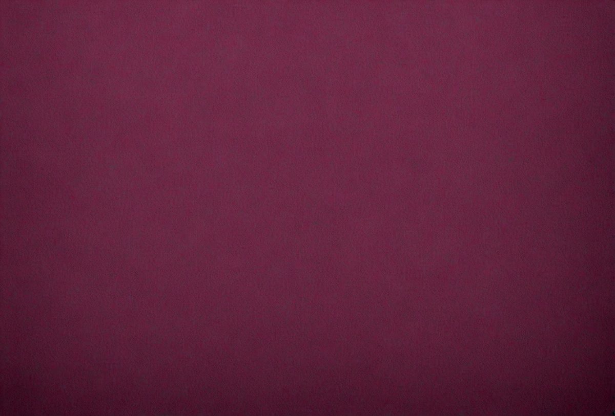 bef4506b-75ad-444f-99dc-17b21bf0605e-freepik__dark-magenta-canvas-paper-texture-for-background__5751_251008011401_00001.png