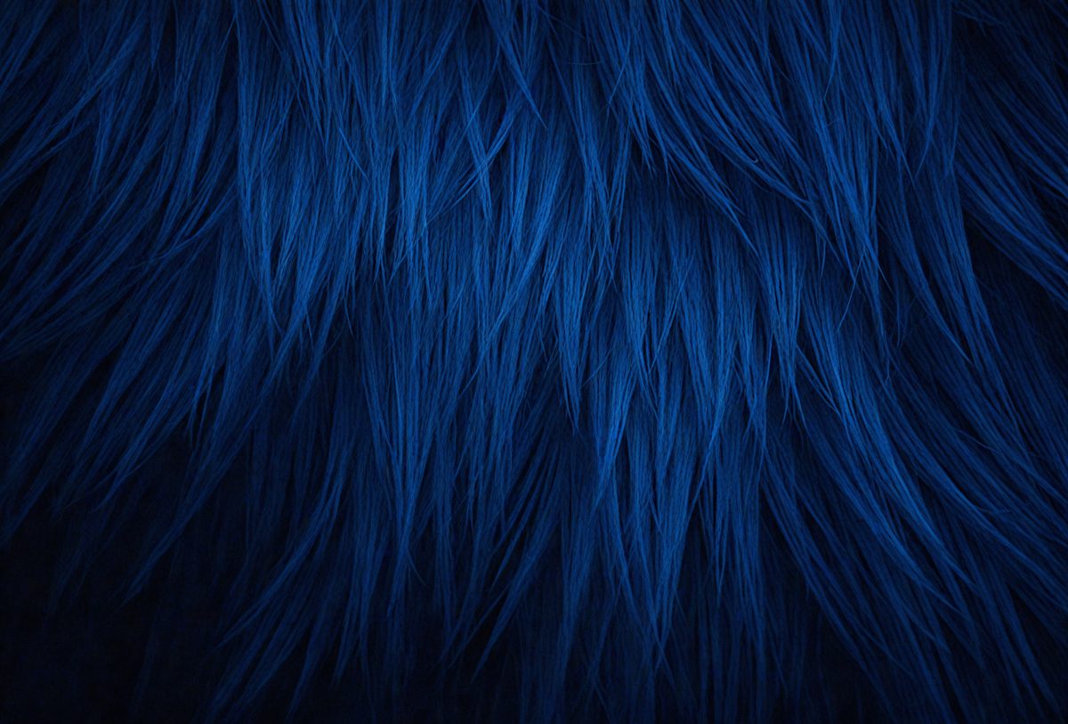c1740bc9-e0e3-4c86-8bd4-c2172c14bf07-freepik__dark-blue-fur-texture-close-up-dark-blue-fluffy-fu__47858_250930001245_00001.png