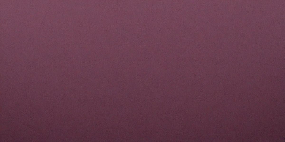 c18b2f9e-f627-4787-aaf2-b2c089aec71e-freepik__panorama-of-gray-dark-magenta-carton-paper-texture__13643_251009202301_00001.png