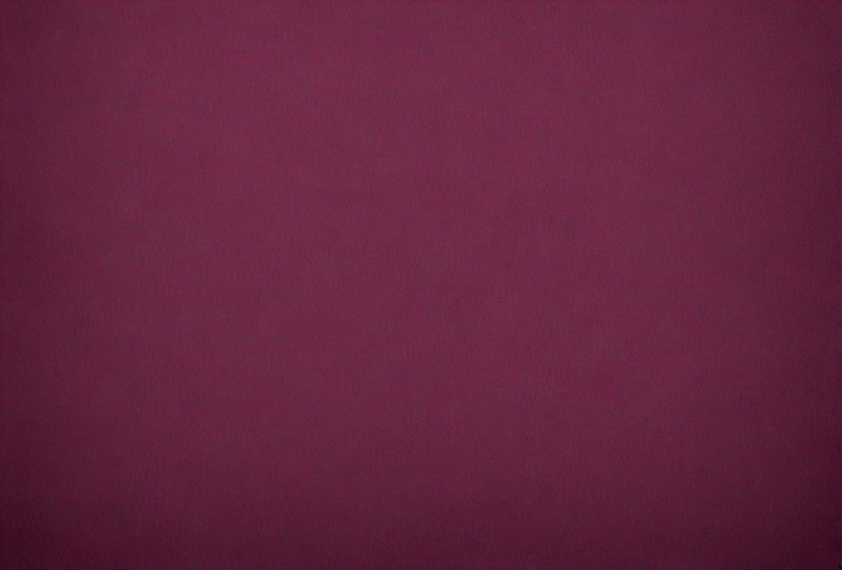 c50c2f83-37dd-4305-b3fe-cfdef9a3df0a-freepik__dark-magenta-canvas-paper-texture-for-background__5754_251008011422_00001.png