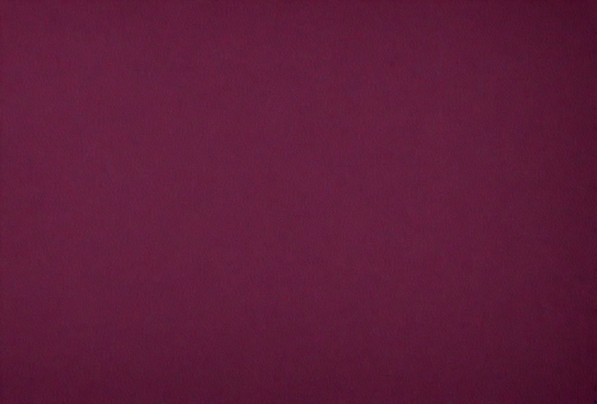 cad41ba5-503c-400f-b48a-e8efcaaf6535-freepik__dark-magenta-linen-background-dark-magenta-linen-b__39208_251008015950_00001.png