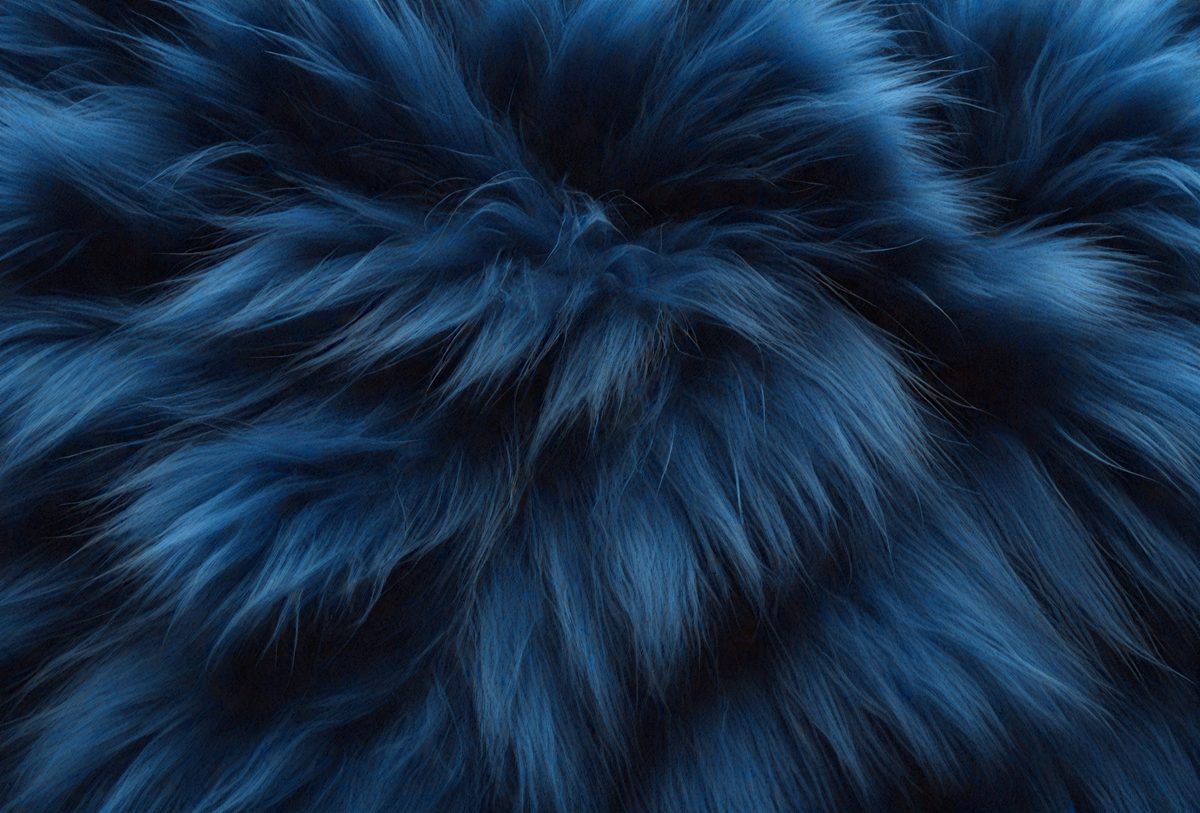 cb1d484b-dcdd-40f2-a805-1265dbc158eb-freepik__dark-blue-fur-texture-close-up-dark-blue-fluffy-fu__47853_250930001209_00001.png