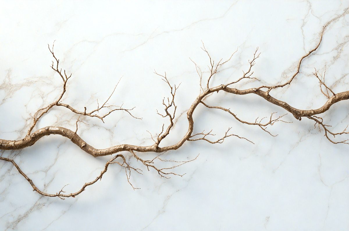 creation_1986139400_251216063759_00001.png