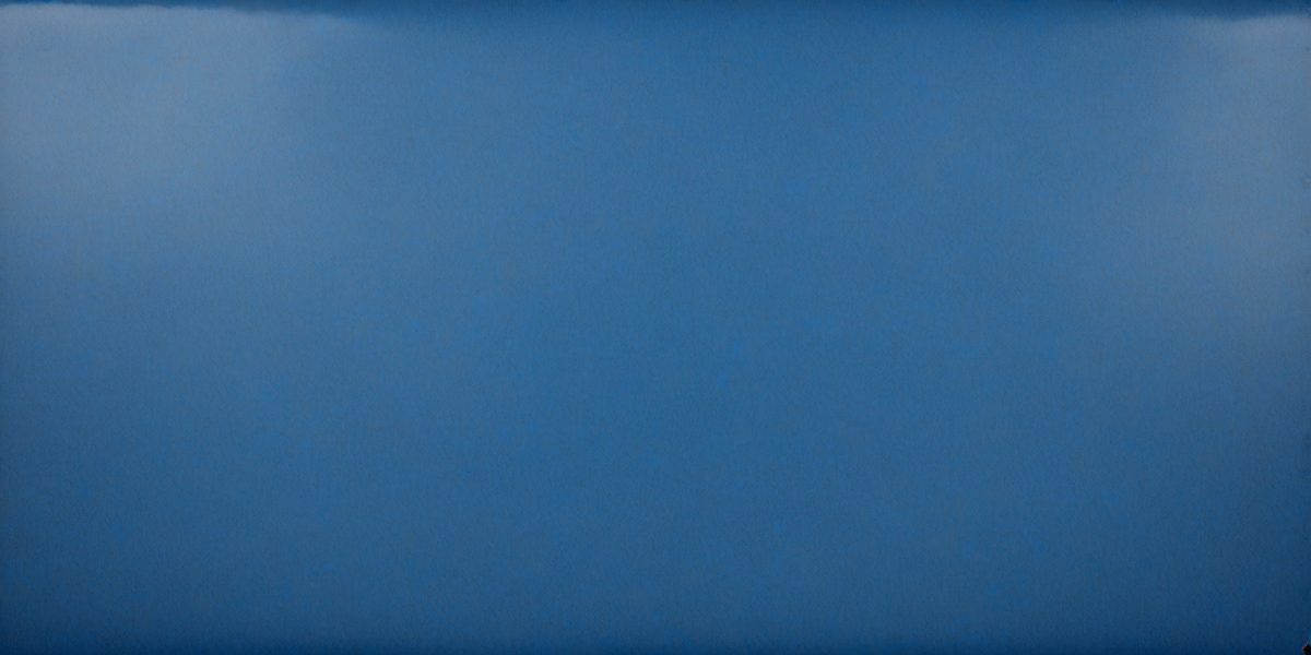 d728c90c-a255-4964-8cae-175c1ed6912c-freepik__closeup-of-a-cornflower-blue-leather-background-sm__96257_250928021842_00001.png