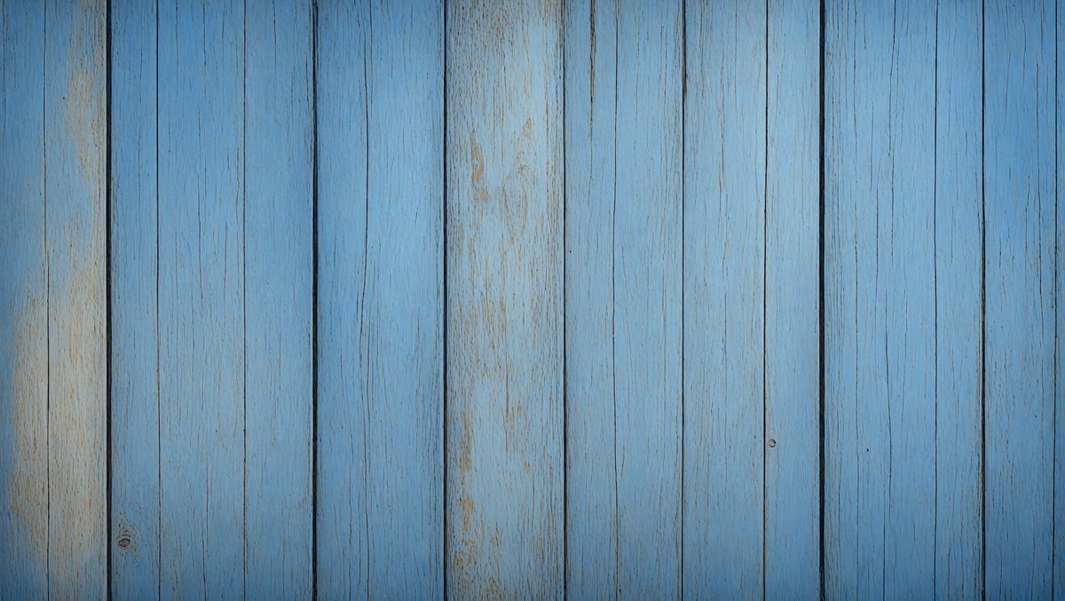 d793953a-513a-4cbf-bf77-a7f0064cc3a5-freepik__detailed-banner-panorama-of-a-cornflower-blue-pain__17164_250928084947_00001.png
