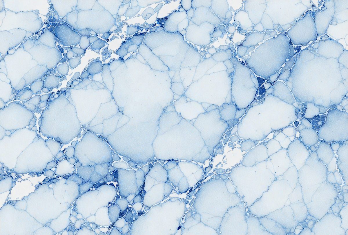 d8856b86-e4a6-42a0-92cf-be7755658476-freepik__alice-blue-marble-color-dynamic-droplet-burst-with__55956_00000.png