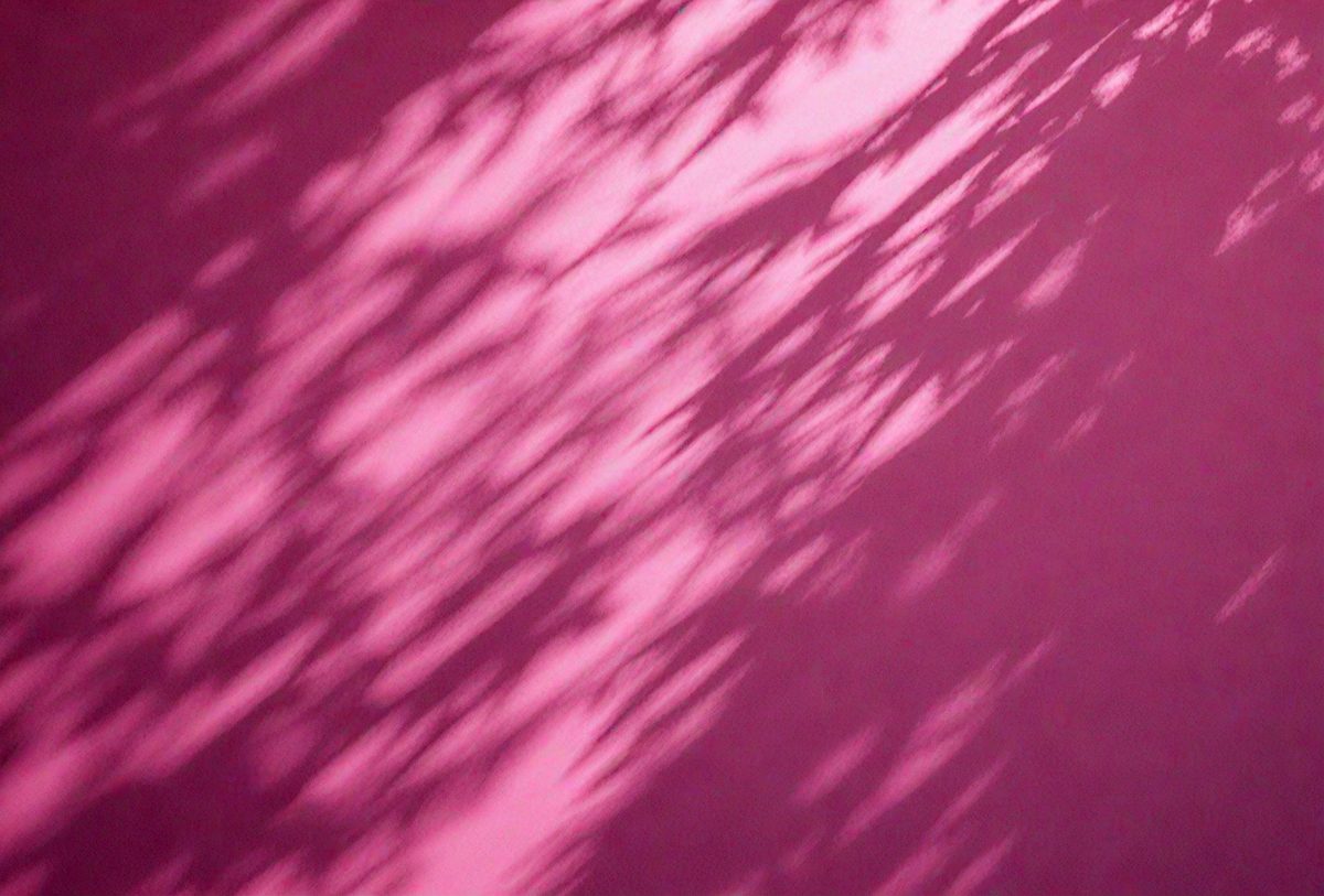 db3f4399-519c-4579-9f32-19c3e0261b91-freepik__blurred-overlay-effect-for-photo-and-mockups-wall-__13430_251007172851_00001.png