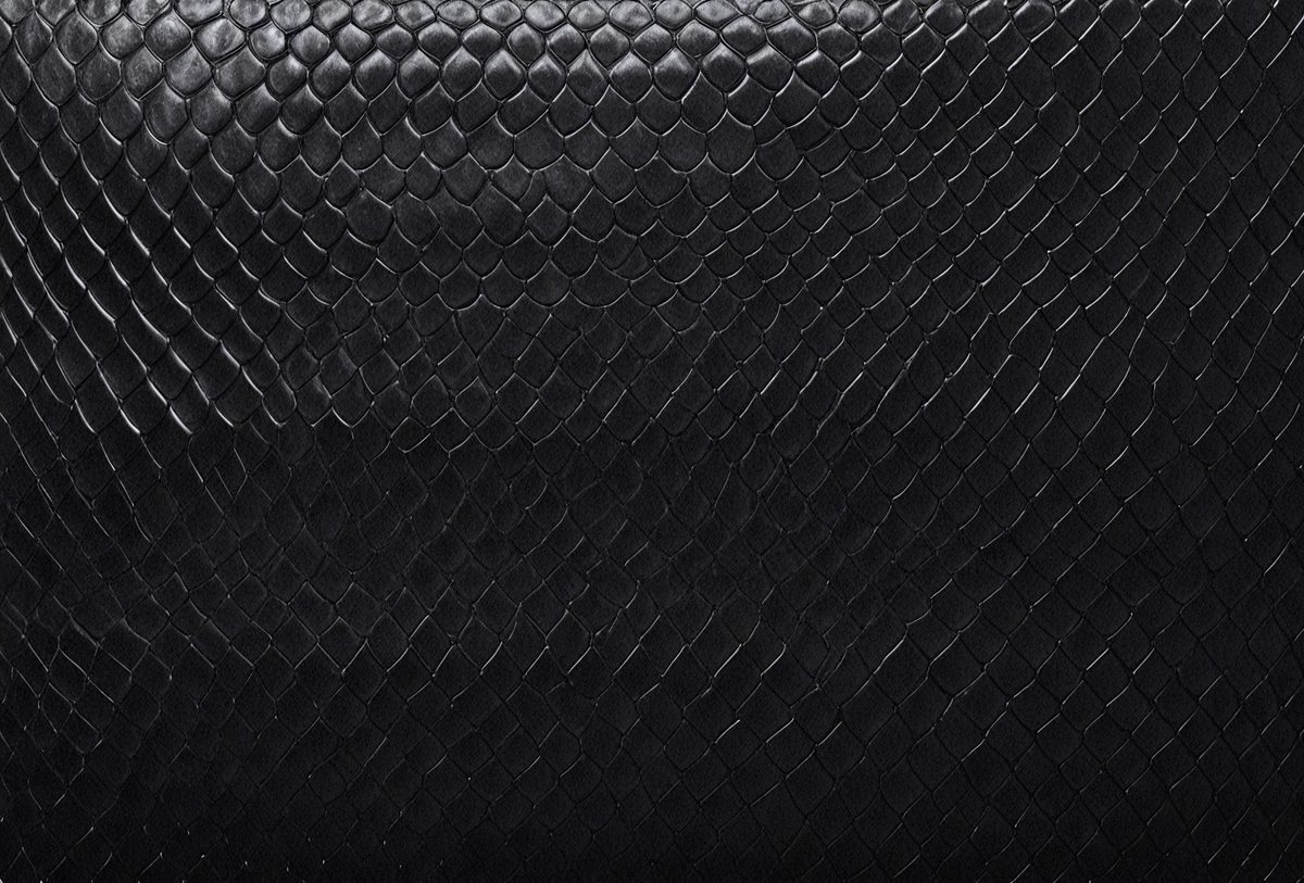dd17b0e9-c27c-4694-9ef3-e9fd11eba5de-freepik__black-snake-skin-background-panoramic-web-banner-w__98138_250525025603_00001.png