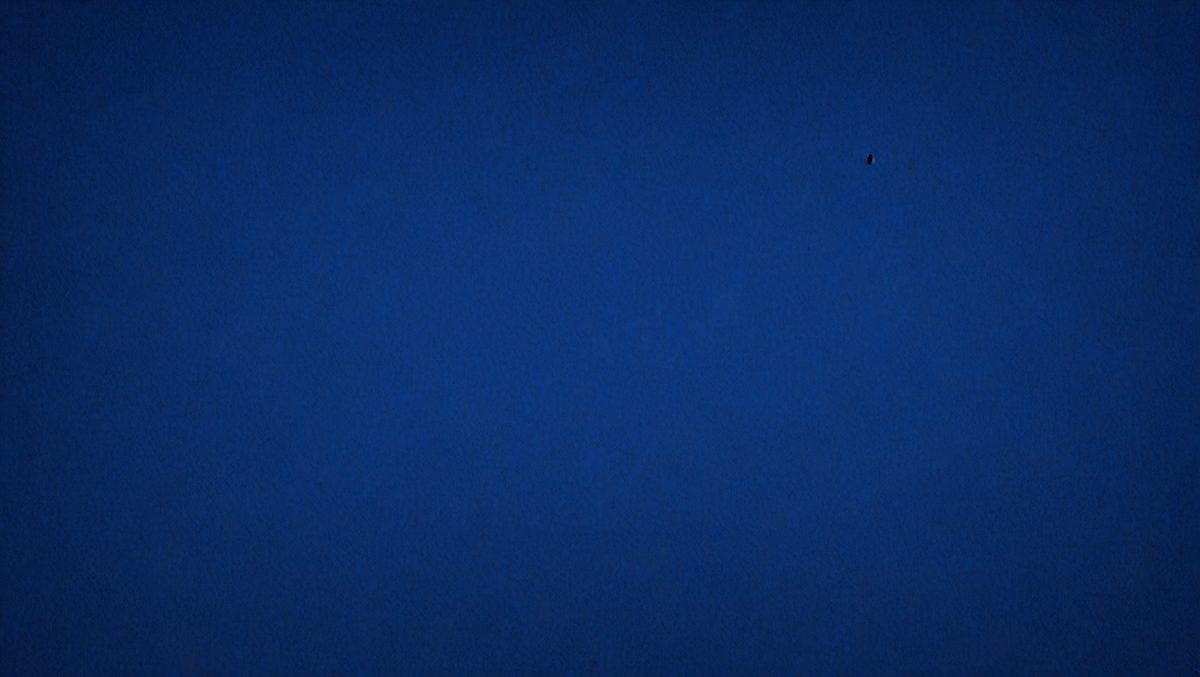 e3507f81-26f1-460d-9e72-42e80ee95027-freepik__dark-blue-paper-texture-background__47606_250930004411_00001.png