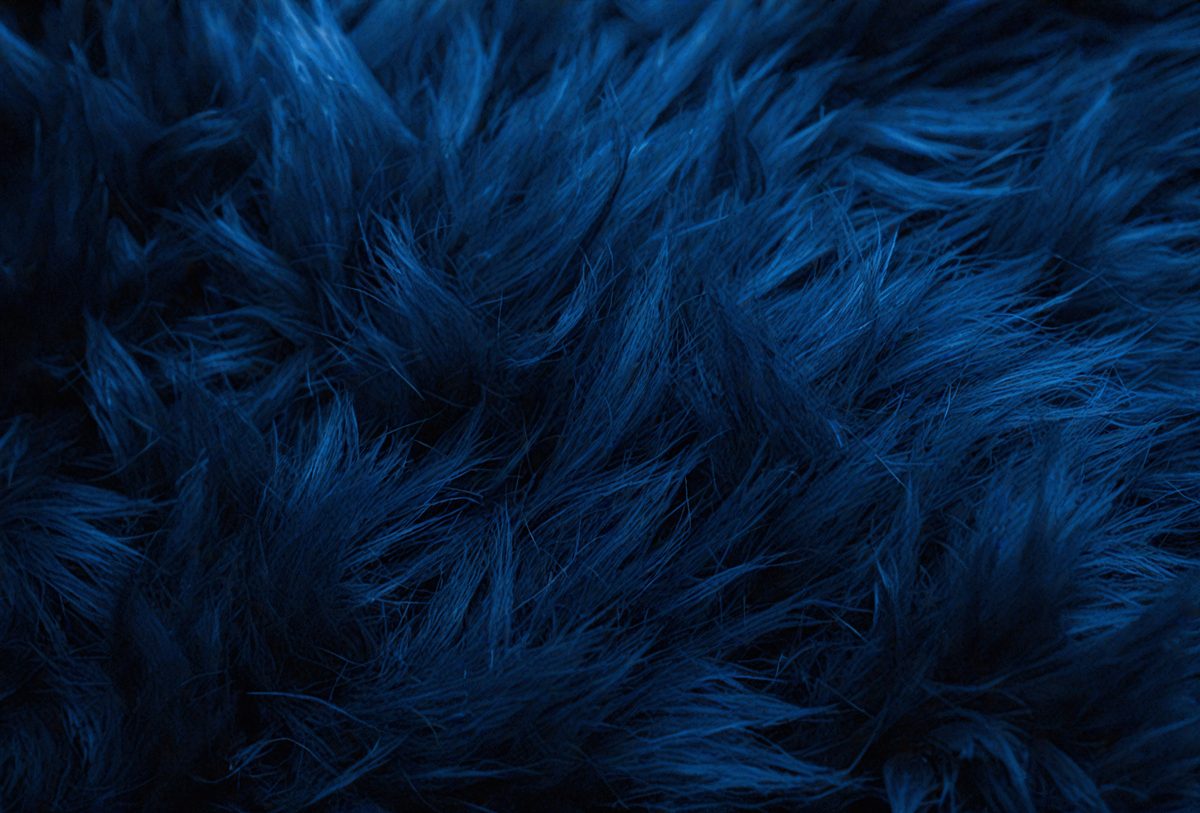 e759f7bb-cb49-4cf2-a7a2-b9e571365a6c-freepik__dark-blue-fur-texture-close-up-dark-blue-fluffy-fu__47859_250930001251_00001.png