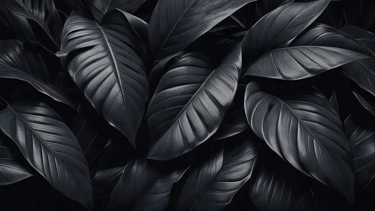 e773ada2-81b2-47f7-b18b-09212dbc2951-freepik__closeup-tropical-black-leaves-texture-and-dark-ton__35810_250525072815_00001.png