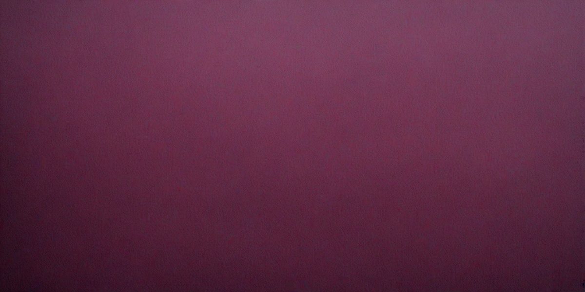 e88641fc-87c7-43a6-9db5-8efe6ceae6e9-freepik__highlytextured-dark-magenta-watercolor-paper-paper__5738_251009135601_00001.png