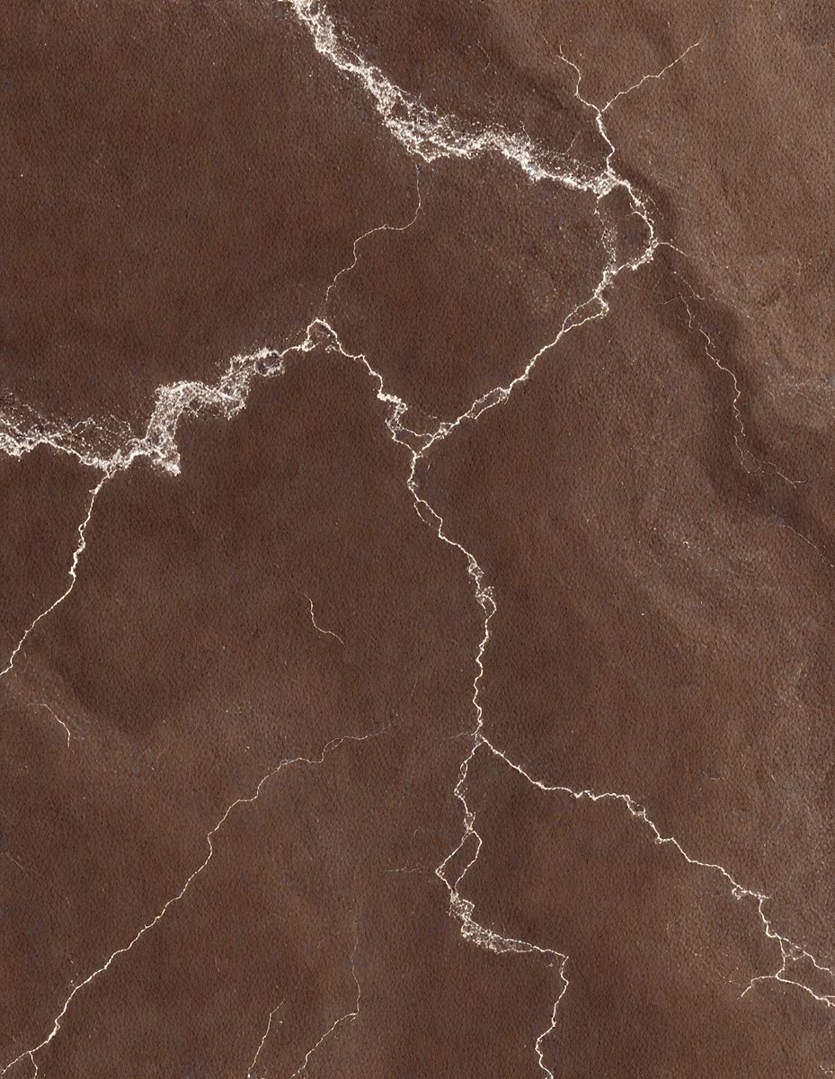 ec26dce9-ce96-412a-b35f-6a2947ce3d27-freepik__chocolate-marble-color-color-organic-wood-texture-__26616_250927082254_00001.png