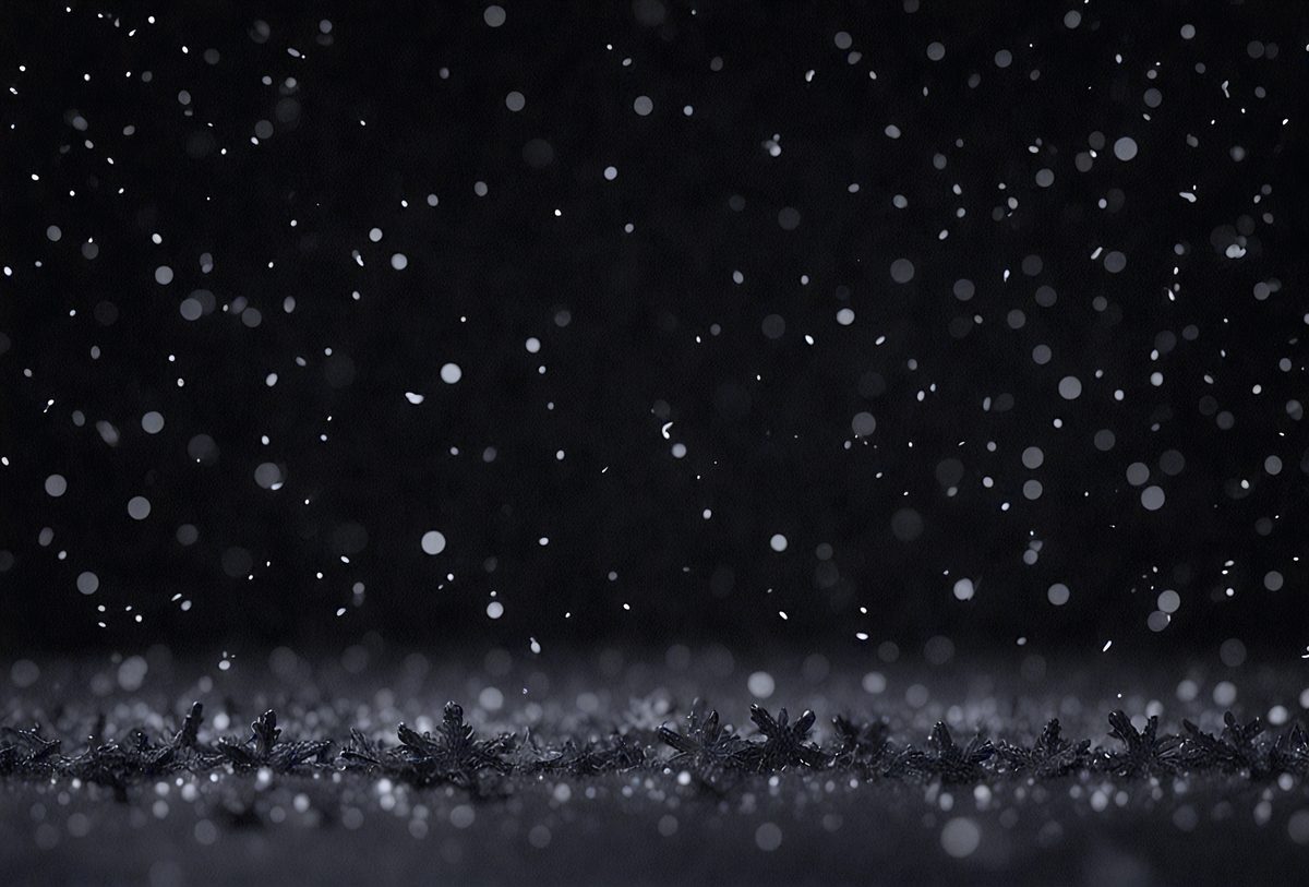 ed8fb724-6cd0-4e77-a59a-be9c8ba827db-freepik__bokeh-of-black-snow-on-a-black-background-falling-__98487_250525032141_00001.png