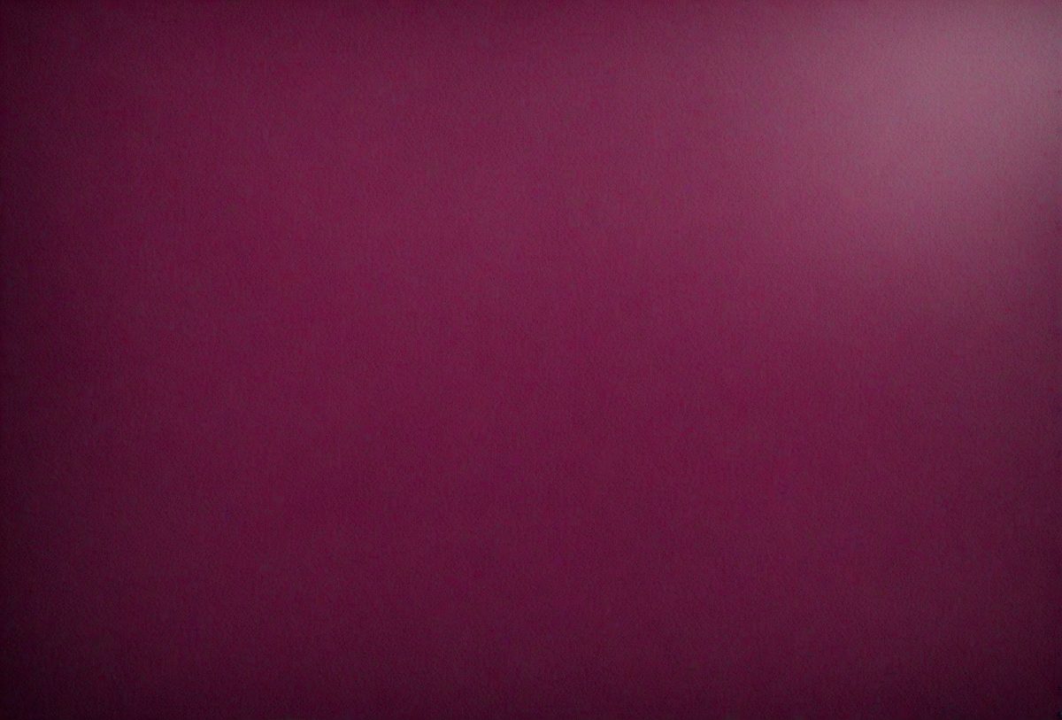 ef399995-4f68-4093-8793-611a2f3e0c9f-freepik__dark-magenta-leather-background__38893_251008015405_00001.png