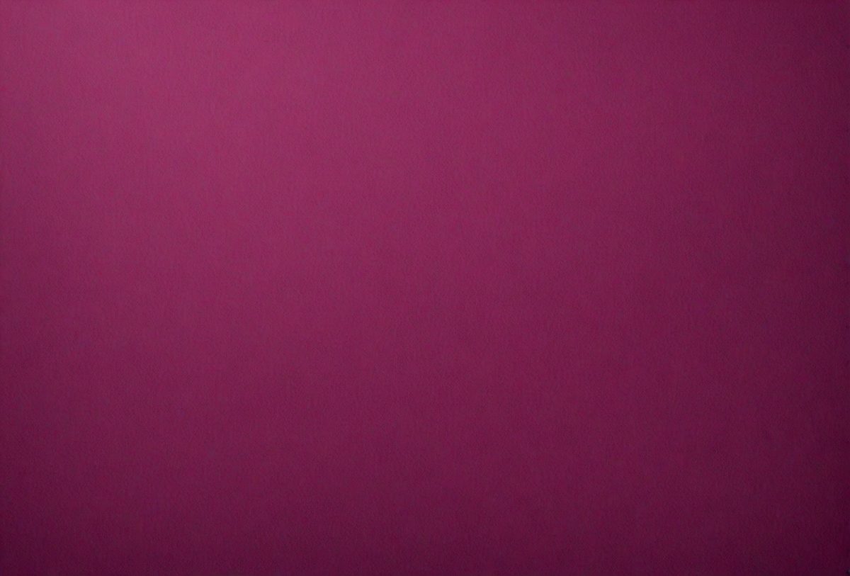 f4ad6eff-d6a9-46a6-a66e-0de59e7d237a-freepik__blank-dark-magenta-paper-texture-background__7422_251007171952_00001.png