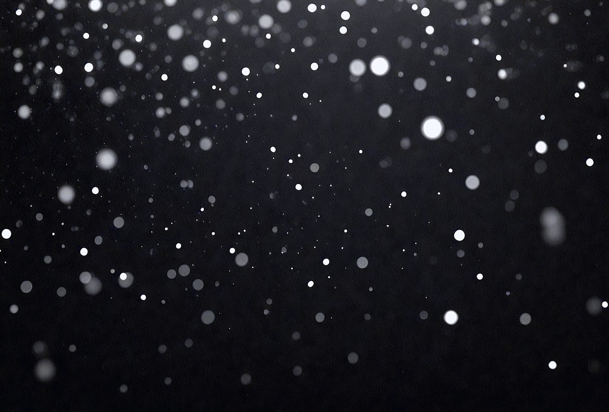 f5912396-b501-4212-9484-22f148b4d790-freepik__bokeh-of-black-snow-on-a-black-background-falling-__93411_250525032113_00001.png