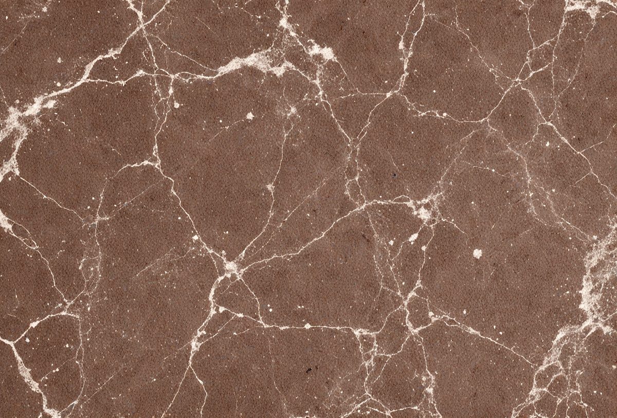 f6190ac6-ac26-46a2-994a-7fd7390d5491-freepik__chocolate-marble-color-color-modern-cement-texture__36624_250927081007_00001.png