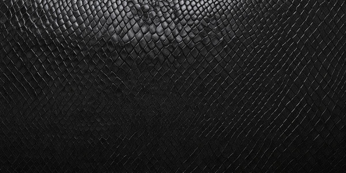 f656ff29-3889-43f1-ac28-adaf2be4737d-freepik__black-snake-skin-background-panoramic-web-banner-w__98465_250525025612_00001.png