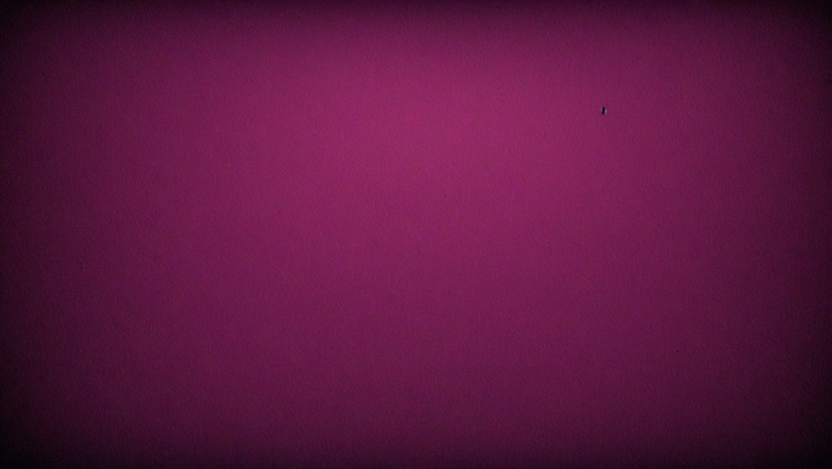 The primary subject of the image is a large, purple wall. The setting is a room with a pink background. The visual style is a close-up of the purple wall, which gives the image a vibrant and bold appearance. The dominant colors are purple and pink, creating a warm and inviting atmosphere.