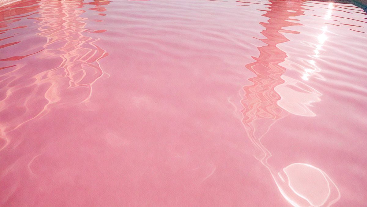 freepik__35mm-film-photography-a-pool-of-pink-water-reflect__60198_250512110552_pink_00001.png