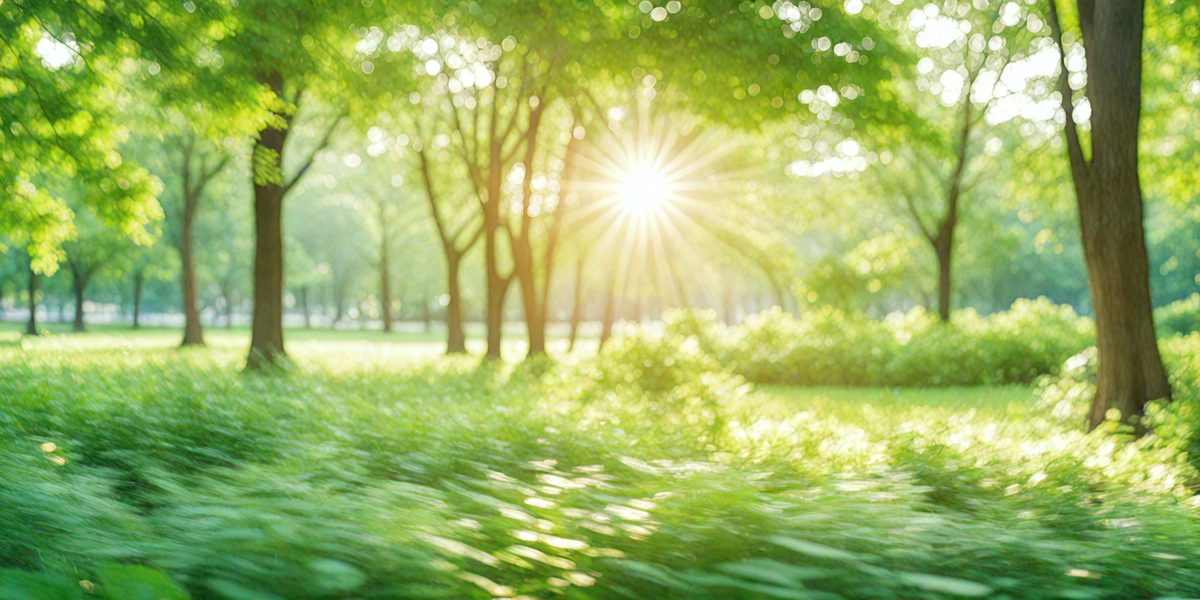 freepik__abstract-bio-green-blur-nature-background-trees-lu__74292_250506012705_Green_00001.png