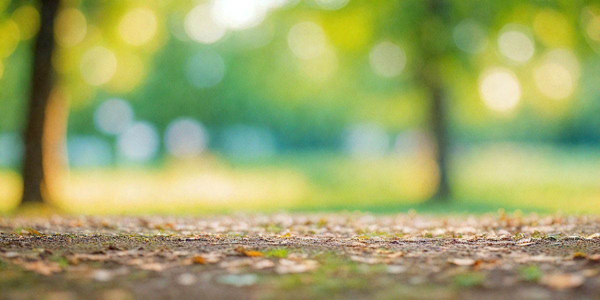 freepik__abstract-concept-of-unfocused-blurred-bokeh-natura__32614_250506045532_Green_00001.png