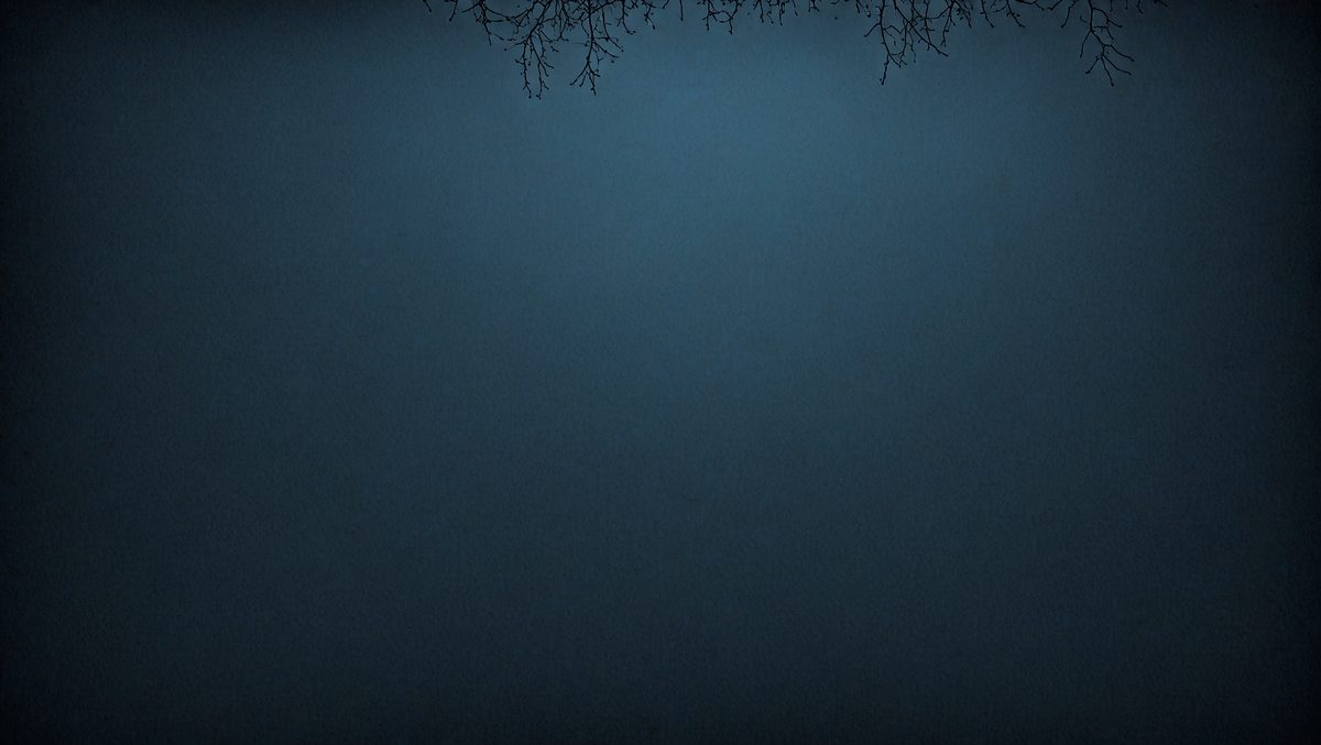 freepik__abstract-dark-slate-blue-background-illustration__98866_251011081018_00001.png