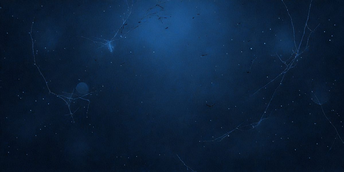 freepik__abstract-dark-slate-blue-background-vector-illustr__99882_251011081300_00001.png