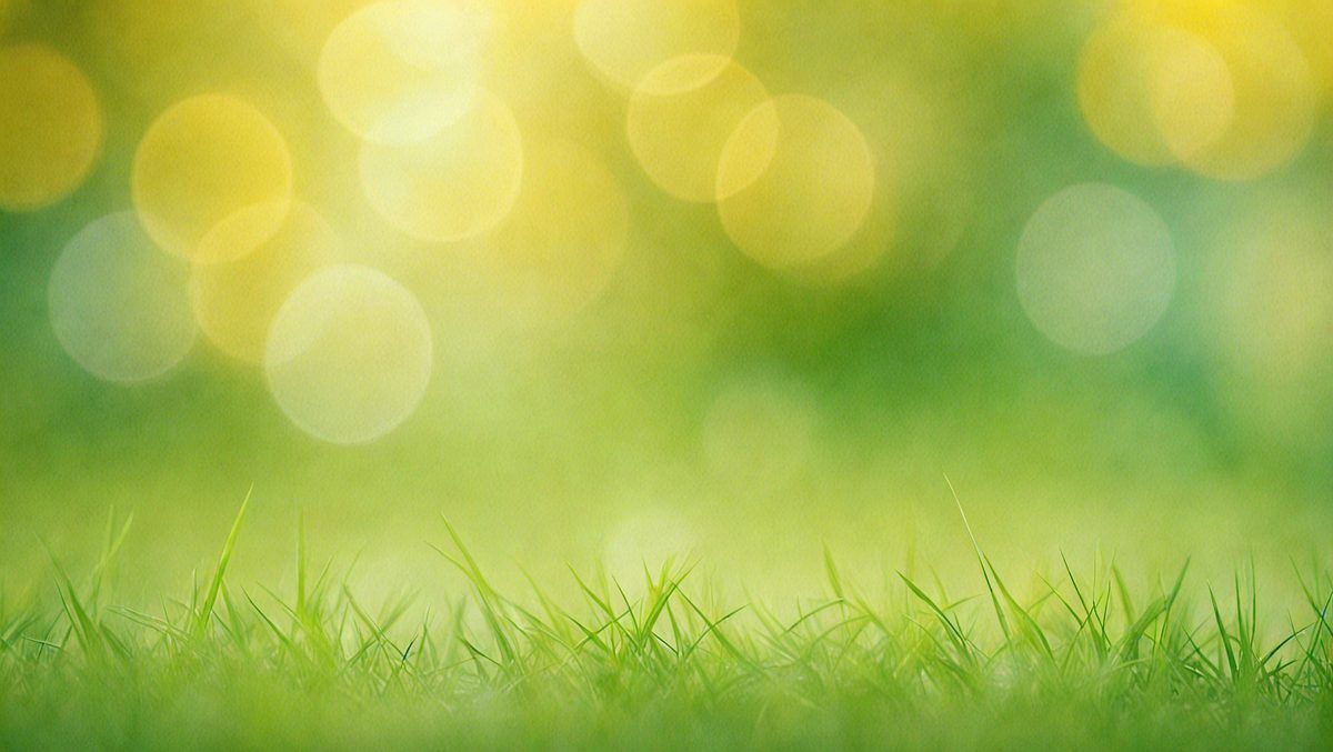 freepik__abstract-defocused-nature-background-with-green-an__26775_250506045640_Green_00001.png