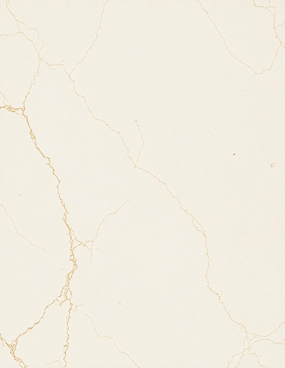 freepik__abstract-ivory-marble-color-color-and-photo-textur__11444_251103161107_00001.png