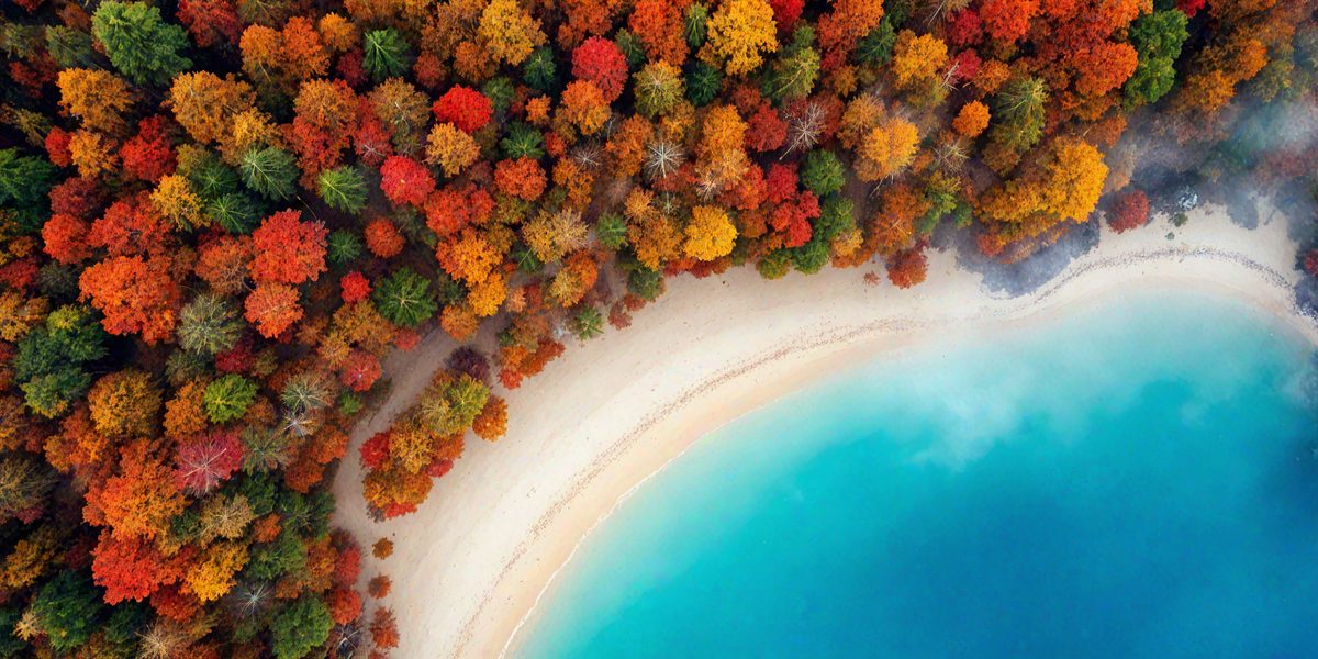 freepik__aerial-view-of-a-cadet-blue-lake-and-sandy-beach-i__4457_250923133532_00001.png
